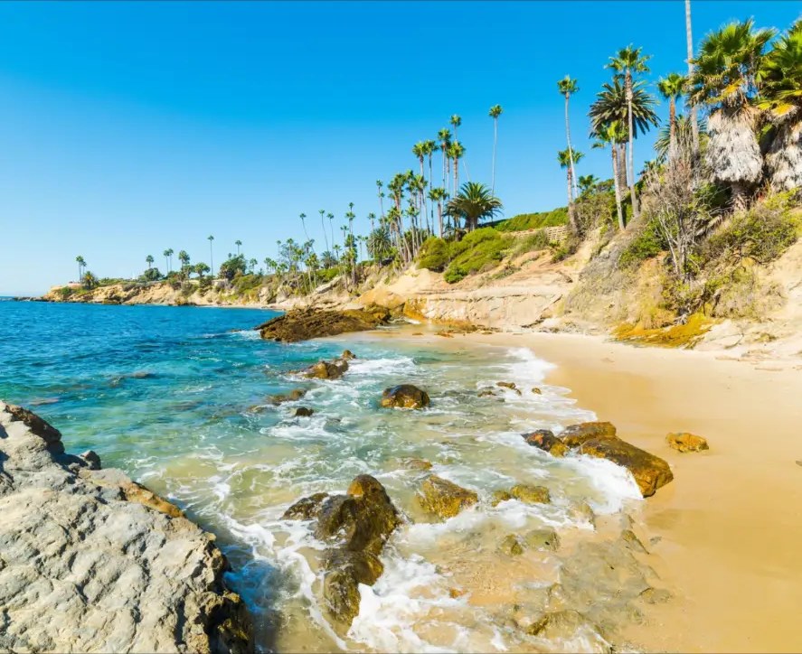 Turquoise water breaking on rocks below a palm-lined Laguna bluff