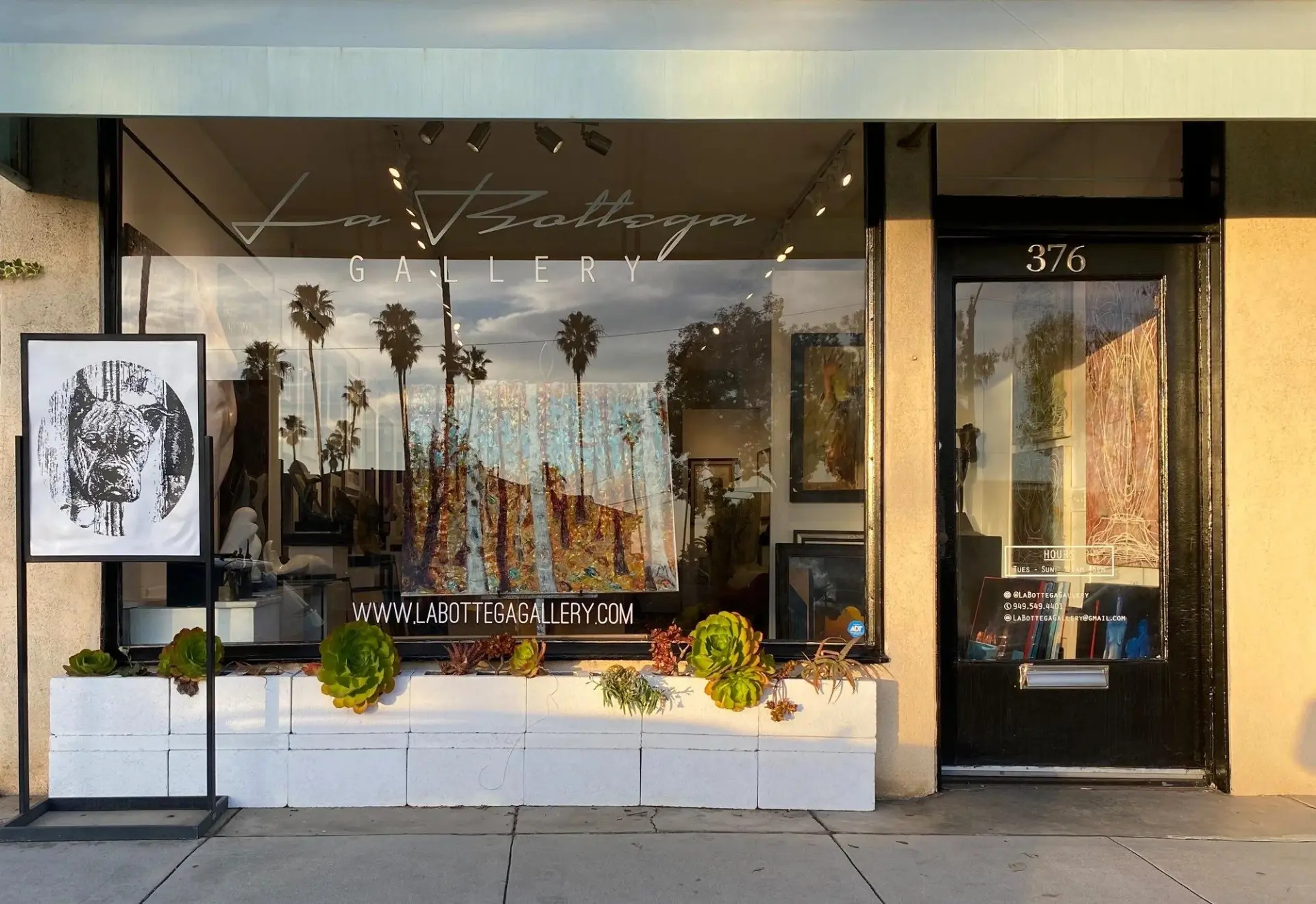A Laguna art gallery storefront at golden hour with succulent planters and lit interior