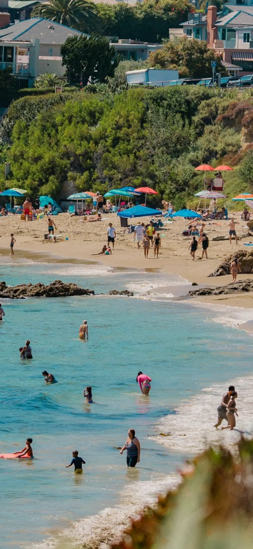 Families and swimmers in clear turquoise water on a summer Laguna day