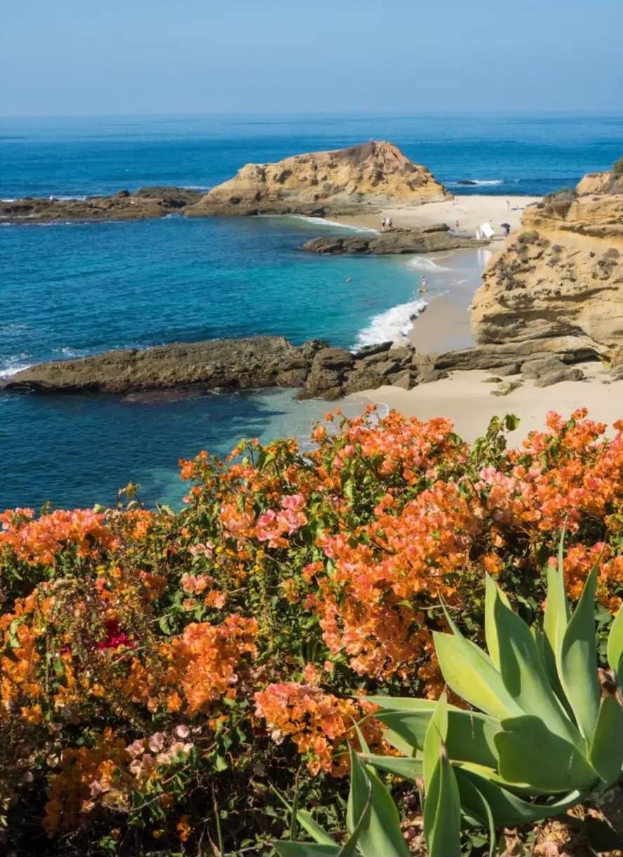 Bougainvillea and agave framing a turquoise hidden cove
